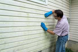 Best Siding Painting and Refinishing  in Lucerne, CA